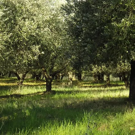 Agriturismo Il Riguardino * San Quirico d'Orcia