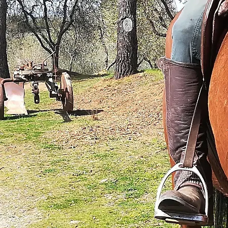 Agriturismo Il Riguardino בית חווה *
