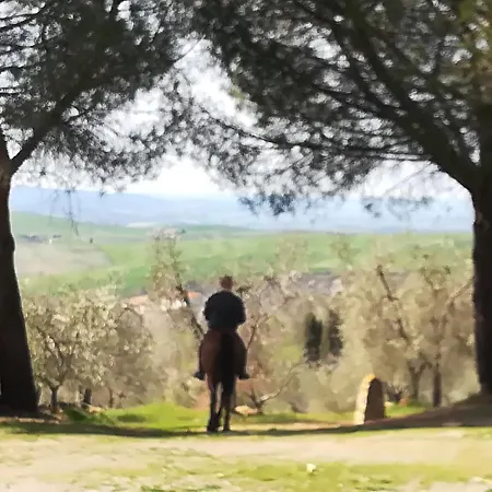 בית חווה Agriturismo Il Riguardino San Quirico dʼOrcia