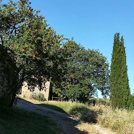בית חווה Agriturismo Il Riguardino *