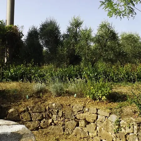 Agriturismo Il Riguardino
