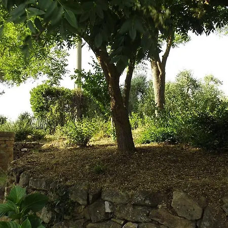 Agriturismo Il Riguardino Farm stay *