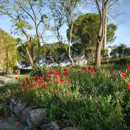 Agriturismo Il Riguardino
