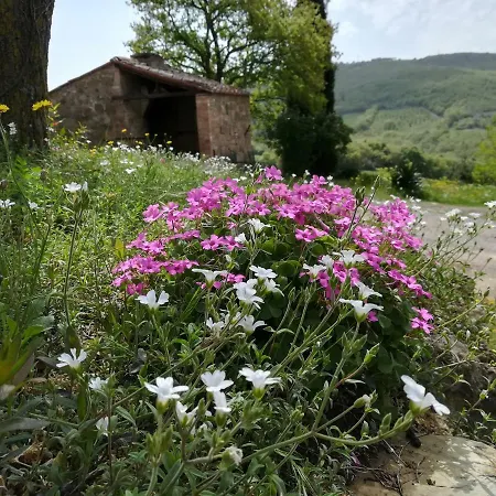 בית חווה Agriturismo Il Riguardino