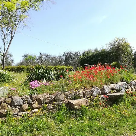 Agriturismo Il Riguardino *
